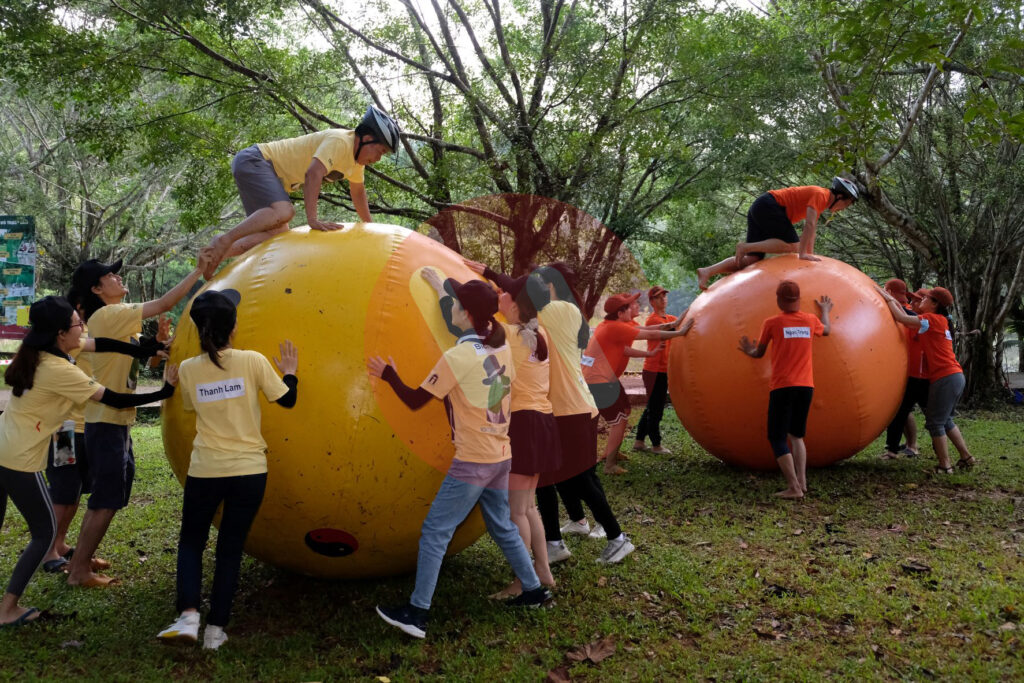 Tour Team Building Suối Mơ 1 Ngày, Suối Mơ Đồng Nai, Suối Mơ Park, Công Viên Suối Mơ, Tổ Chức Team Building Tại Suối Mơ