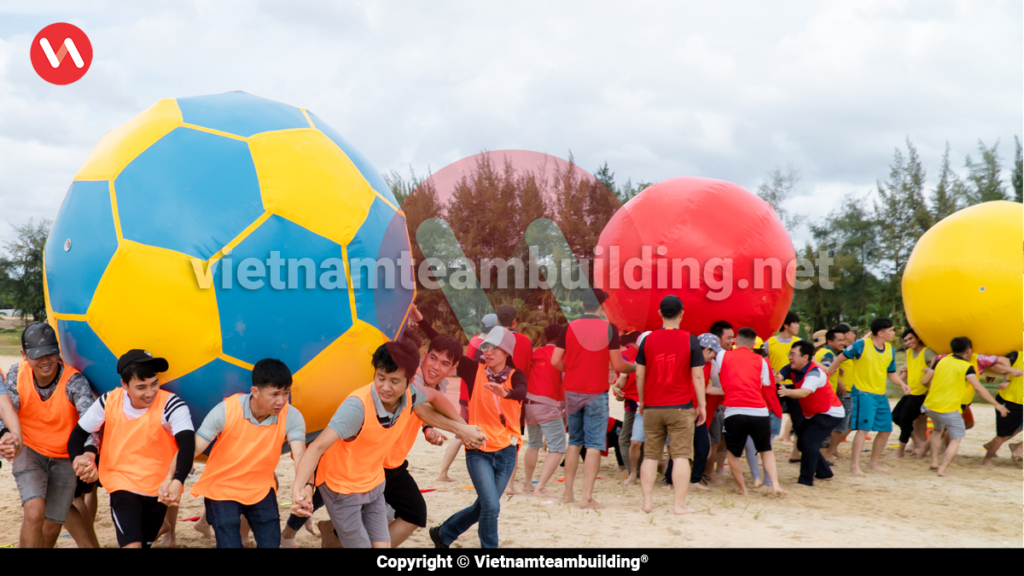 Team Building Phan Thiết, Công Ty Tổ Chức Team Building tại Phan Thiết, Tour Team Building Phan Thiết