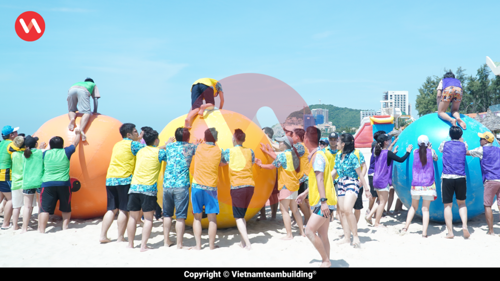 Team Building Vũng Tàu, Teambuilding Vũng Tàu, Tổ Chức Team Building Tại Vũng Tàu