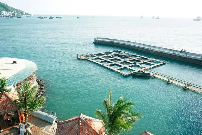 Tổ chức team building, Công ty tổ chức team building, TeambuildingVietnam, Team building Vũng Tàu