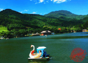 Tổ Chức Team Building Ao Vua 2025: Trọn Gói 1 Ngày Gần Hà Nội | Kịch Bản & Báo Giá Tốt Nhất