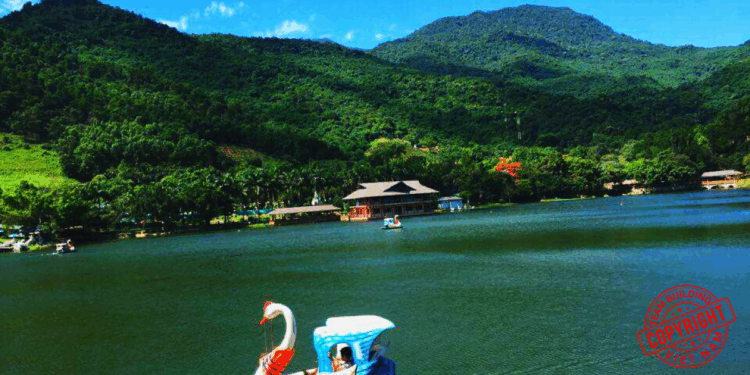 Tổ Chức Team Building Ao Vua 2025: Trọn Gói 1 Ngày Gần Hà Nội | Kịch Bản & Báo Giá Tốt Nhất