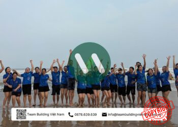Công Ty Tổ Chức Team Building Tại Quảng Ngãi: Nâng Tầm Doanh Nghiệp Cùng Đối Tác Chuyên Nghiệp