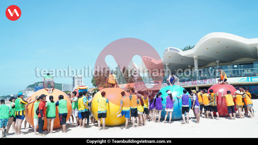Teambuilding Long Hải, Tour Team Building Long Hải 1 Ngày, Tổ Chức Team Building Tại Long Hải, Team Building Bãi Biển Long Hải, Team Building Long Hải Vũng Tàu, Tour Phước Hải 2 Ngày 1 Đêm, Tour Đi Biển 1 Ngày, Tour Long Hải 1 Ngày, Du Lịch Long Hải