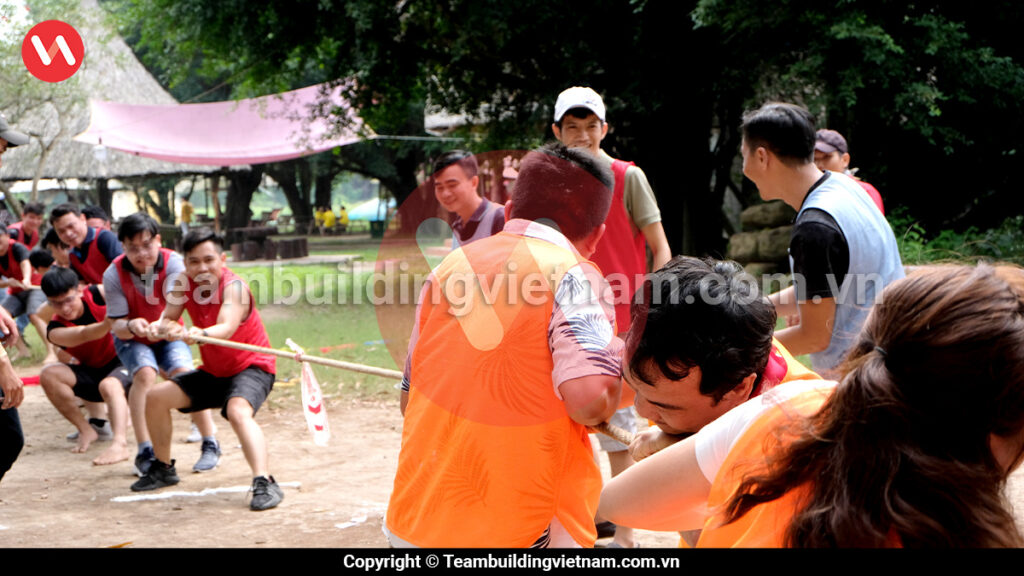 Cho Thuê Dây Thừng Kéo Co Chuyên Dụng, Cho Thuê Dây Kéo Co tại TPHCM