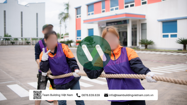 Cho Thuê Dây Thừng Kéo Co Chuyên Dụng - Hình ảnh 4