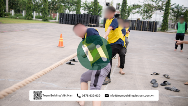 Cho Thuê Dây Thừng Kéo Co Chuyên Dụng - Hình ảnh 5