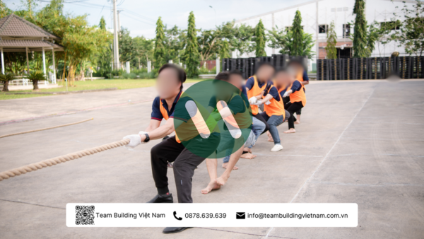 Cho Thuê Dây Thừng Kéo Co Chuyên Dụng - Hình ảnh 8