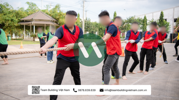 Cho Thuê Dây Thừng Kéo Co Chuyên Dụng - Hình ảnh 9