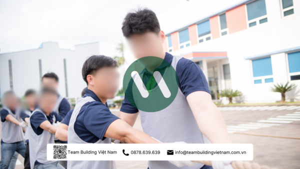 Cho Thuê Dây Thừng Kéo Co Chuyên Dụng - Hình ảnh 10