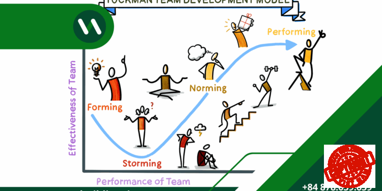 Hình ảnh mô phỏng 5 lý thuyết tâm lý nhóm (group dynamics) quan trọng trong việc thiết kế và tổ chức team building hiệu quả.