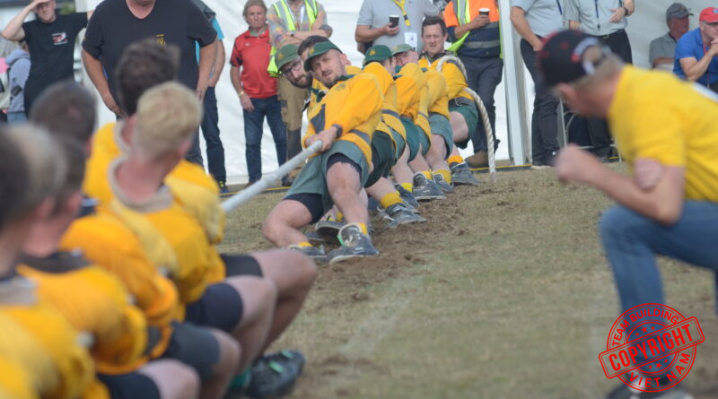 Trò chơi team building giúp giải quyết giai đoạn 'Storming' (xung đột) trong mô hình Tuckman một cách an toàn và hiệu quả.